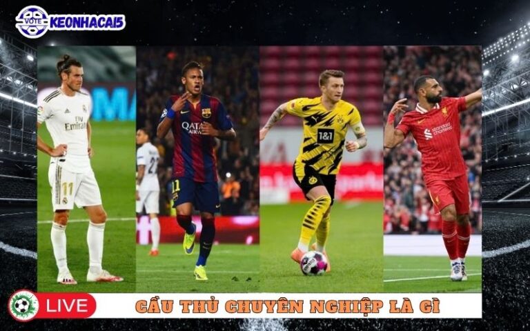 Cầu Thủ Chuyên Nghiệp Là Gì? Nghề Chơi Bóng Đỉnh Cao