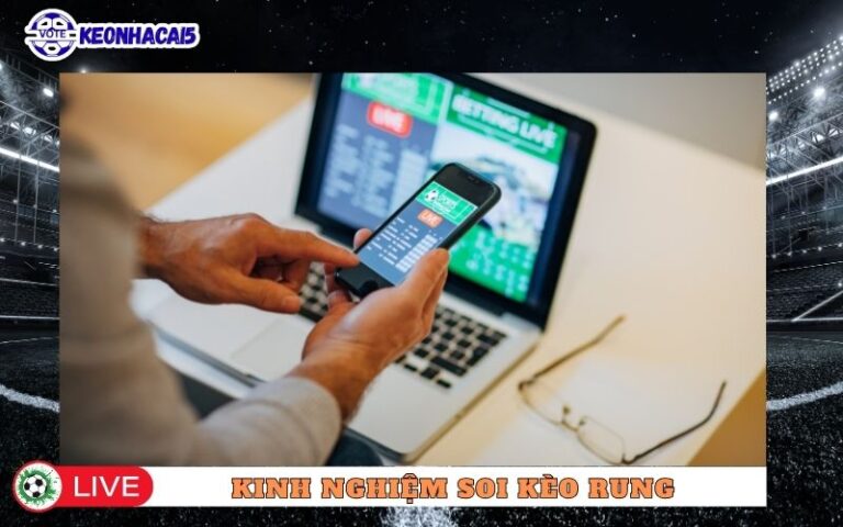 Kinh Nghiệm Soi Kèo Rung, Vào Tiền Hợp Lý Dễ Dàng
