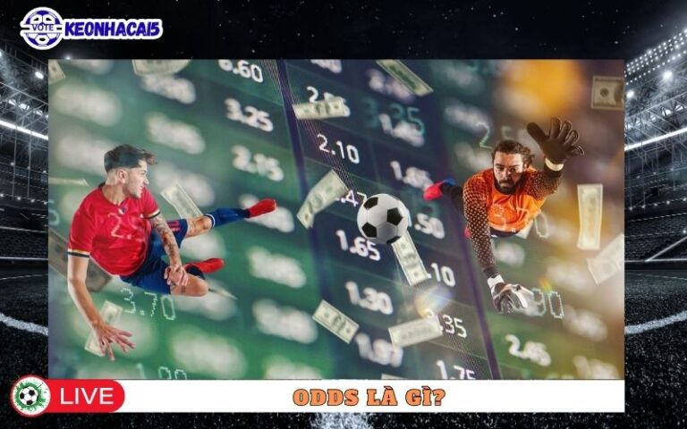 Odds Là Gì Trong Cá Cược Bóng Đá Và Vì Sao Người Mới Hiểu Sai