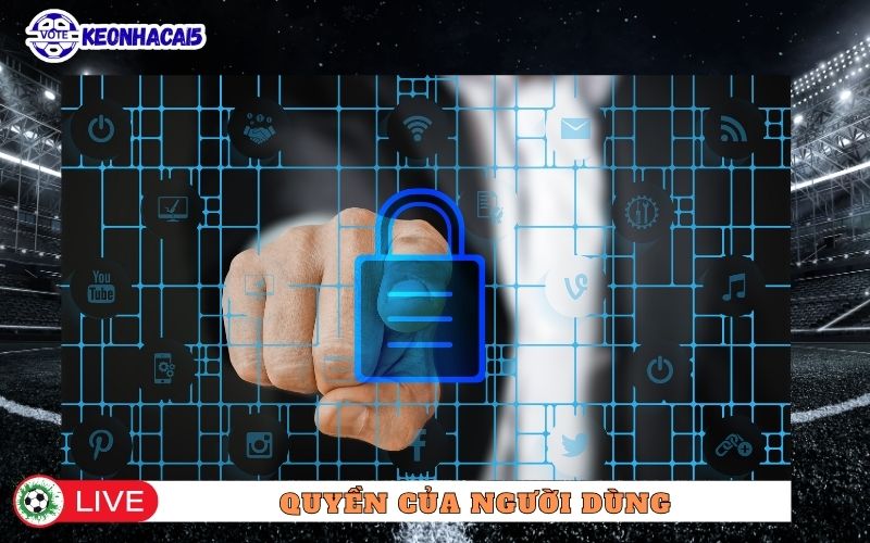 Quyền của người dùng đối với dữ liệu cá nhân