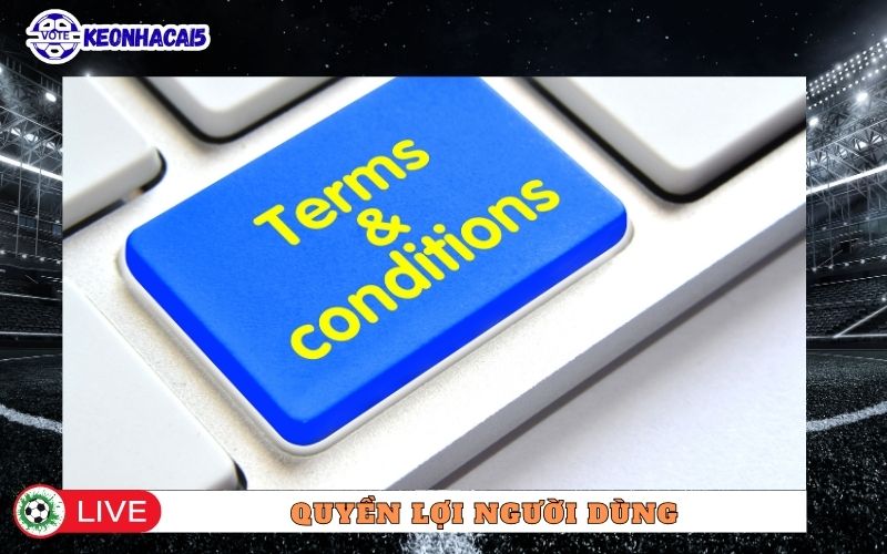 Quyền lợi của người dùng khi truy cập website